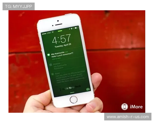 乐鱼手机登录方式多样化，支持指纹和面部识别技术提升安全性