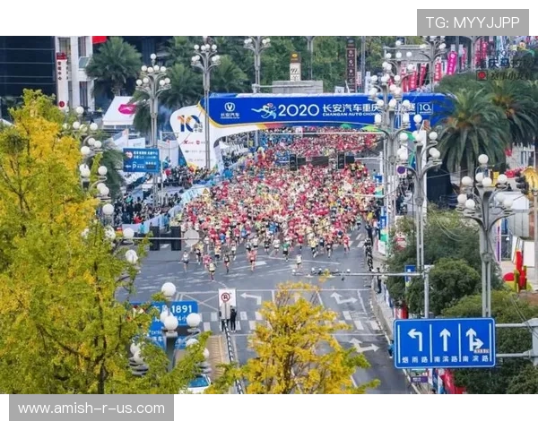 多米体育网址官方地址最新版本，获取最全面的体育资讯与赛事信息