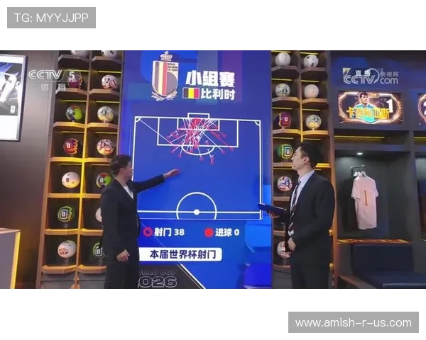 世界杯新西兰对比利时比赛历史比分统计及关键比赛亮点总结